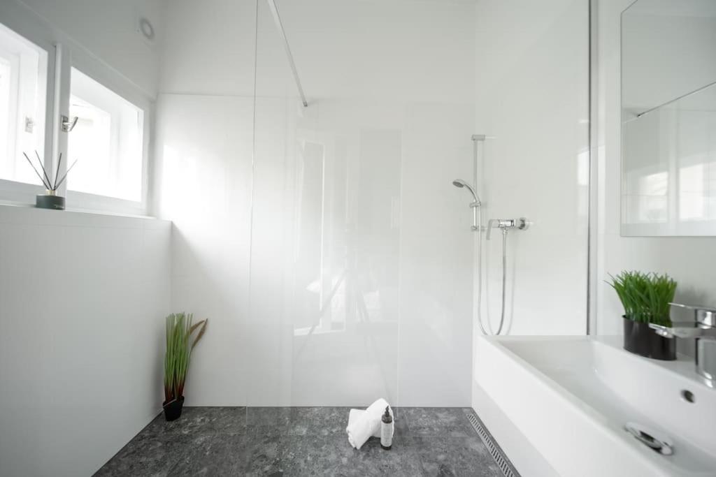 3b Bright Beautiful Newly Renovated 3br Apartment Prague